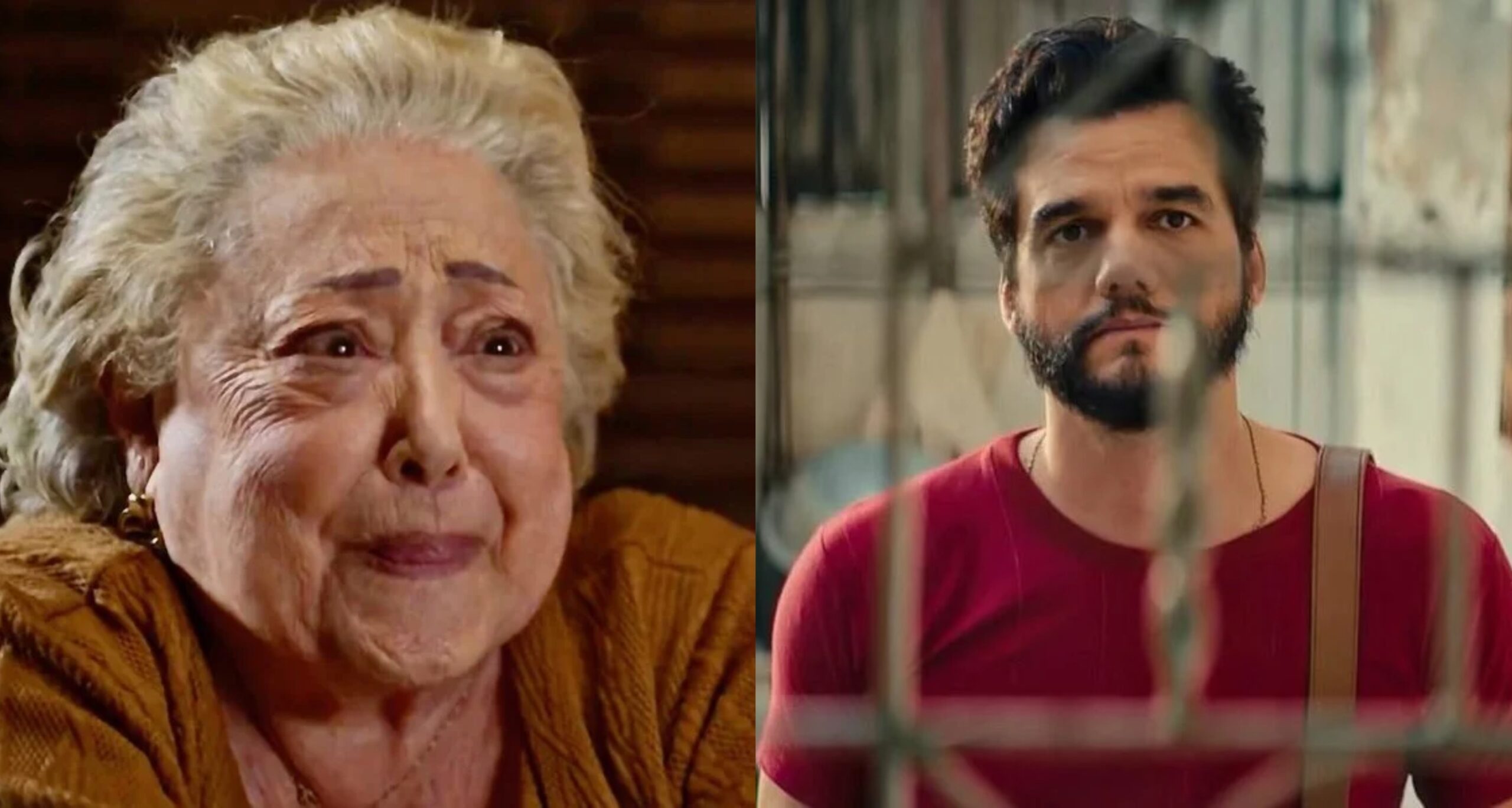 Suely Franco e Wagner Moura vencem o Prêmio APCA de 2025; confira a lista